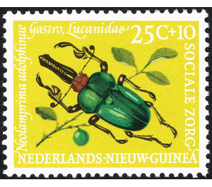 Stag Beetle (Neolamprina adolphinae) - Melanesia / Netherlands New Guinea 1961