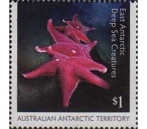 Starfish - Australian Antarctic Territory 2017 - 1