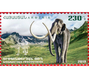 Steppe Mammoth (Mammuthus trogontherii) - Armenia 2019 - 230