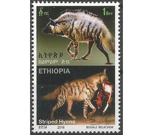 Striped Hyena (Hyaena hyaena) - East Africa / Ethiopia 2019 - 1