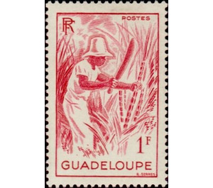 Sugar cane - Caribbean / Guadeloupe 1947 - 1
