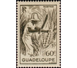 Sugar cane - Caribbean / Guadeloupe 1947 - 60