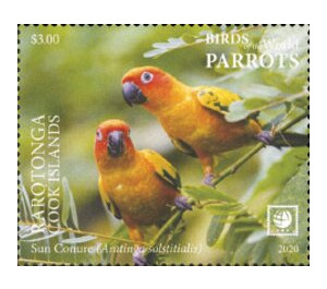 Sun Conure (Aratinga solstitialis) - Cook Islands, Rarotonga 2020 - 3