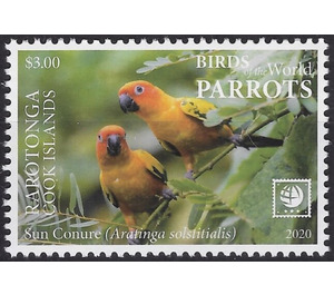 Sun Conure (Aratinga solstitialis) - Cook Islands, Rarotonga 2020 - 3