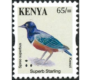 Superb Starling (Lamprotornis superbus) - East Africa / Kenya 2014 - 65