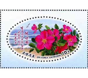 Sweet Brier (Rosa rubiginosa) - North Korea 2020 - 10