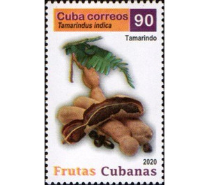 Tamarind - Caribbean / Cuba 2020