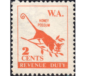 Tarsipes rostratus (Honey possum) - Western Australia 1966