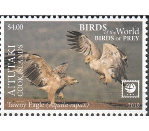 Tawny Eagle - Aitutaki 2019 - 4