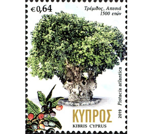 Terebinth Tree in Apesia, 1500 years old - Cyprus 2019 - 0.64