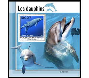 The Atlantic Bottlenose Dolphin (Tursiops truncatus) - East Africa / Djibouti 2021