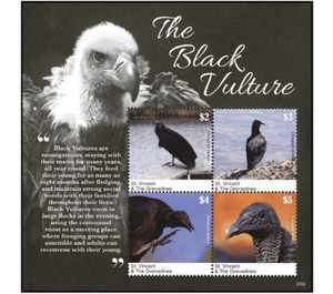 The Black Vulture - Caribbean / Saint Vincent and The Grenadines 2020