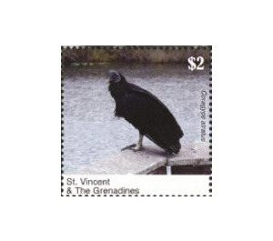 The Black Vulture - Caribbean / Saint Vincent and The Grenadines 2020