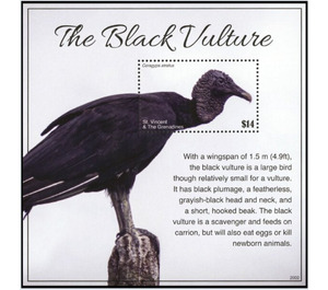 The Black Vulture - Caribbean / Saint Vincent and The Grenadines 2020