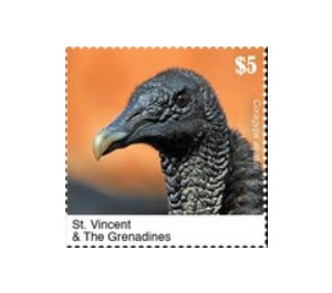 The Black Vulture - Caribbean / Saint Vincent and The Grenadines 2020