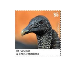 The Black Vulture - Caribbean / Saint Vincent and The Grenadines 2020
