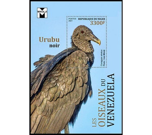 The Black Vulture (Coragyps atratus) - West Africa / Niger 2021