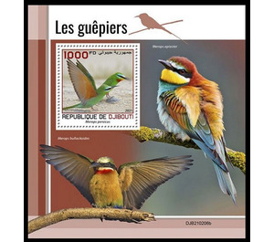 The Blue Cheeked Bee Eater (Merops persicus) - East Africa / Djibouti 2021