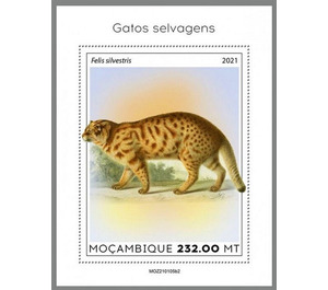 The European Wildcat (Felis silvestris) - East Africa / Mozambique 2021