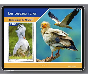 The Kagu (Rhynochetos jubatus) - West Africa / Niger 2021