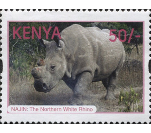 The Last of the White Rhinos - East Africa / Kenya 2018 - 50