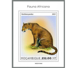 The Leopard (Panthera pardus) - East Africa / Mozambique 2021