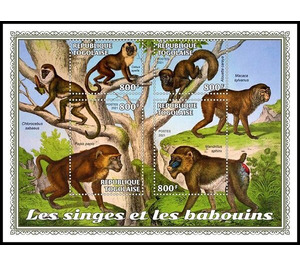 The Monkeys and the Baboons - West Africa / Togo 2021