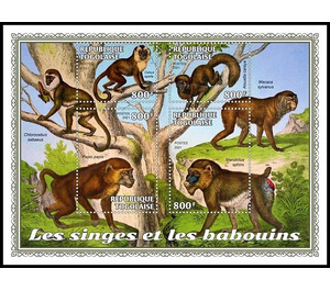 The Monkeys and the Baboons - West Africa / Togo 2021