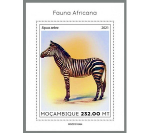 The Mountain Zebra (Equus zebra) - East Africa / Mozambique 2021