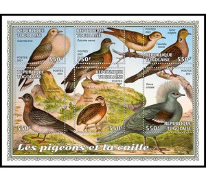 The Pigeons and the Quail - West Africa / Togo 2021