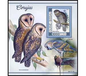 The Powerful Owl (Ninox strenua) - West Africa / Guinea-Bissau 2021