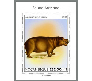 The Pygmy Hippopotamus (Hexaprotodon liberiensis) - East Africa / Mozambique 2021