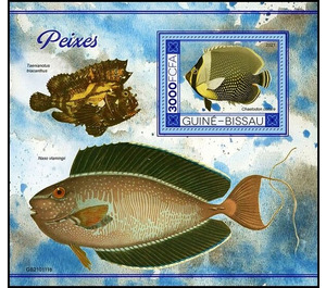 The Redtail Butterflyfish (Chaetodon collare) - West Africa / Guinea-Bissau 2021