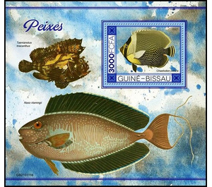 The Redtail Butterflyfish (Chaetodon collare) - West Africa / Guinea-Bissau 2021