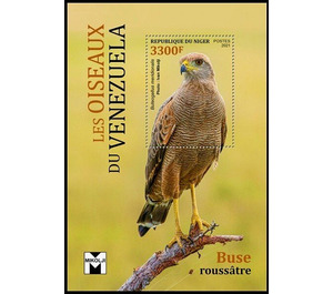 The Savanna Hawk (Buteogallus meridionalis) - West Africa / Niger 2021