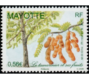 The tamarind tree - East Africa / Mayotte 2009 - 0.56