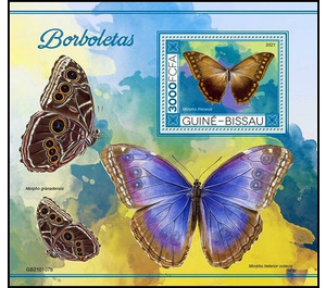 The Theseus Morpho (Morpho theseus) - West Africa / Guinea-Bissau 2021