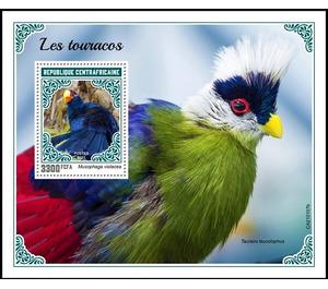 The Violet Turaco (Musophaga violacea) - Central Africa / Central African Republic 2021