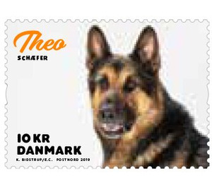 Theo - Denmark 2019 - 10