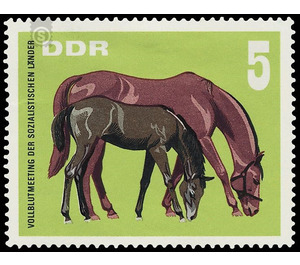 Thoroughbred meeting of the socialist countries, Hoppegarten  - Germany / German Democratic Republic 1967 - 5 Pfennig