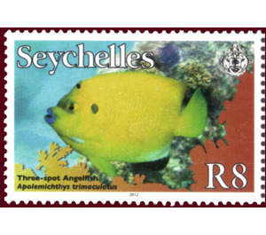 Threespot Angelfish (Apolemichthys trimaculatus) - East Africa / Seychelles 2012 - 8
