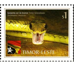 Timor Bronzeback - Dendrelaphis inornatus timorensis - East Timor 2010 - 1