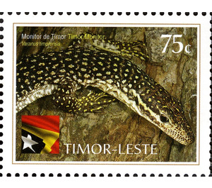 Timor Monitor - Varanus timorensis - East Timor 2010 - 75