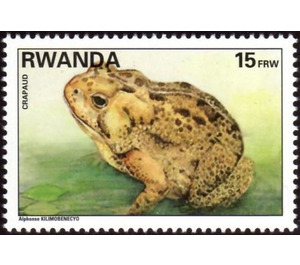 Toad (Bufo sp.) - East Africa / Rwanda 1995 - 15