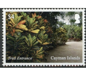 Trail Entrance - Caribbean / Cayman Islands 2020 - 4