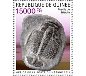 Trilobite - West Africa / Guinea 2021