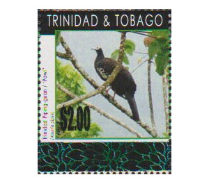 Trinidad Piping-guan (Pipile pipile) - Caribbean / Trinidad and Tobago 2019 - 2