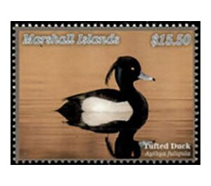 Tufted Duck (Aythya fuligula) - Micronesia / Marshall Islands 2020 - 15.50