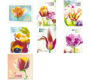 Tulips - Sweden 2019 Set