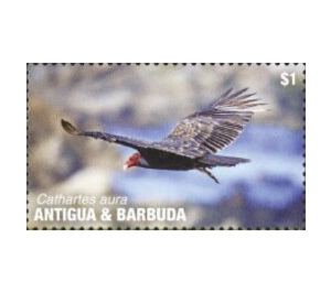 Turkey Vulture - Caribbean / Antigua and Barbuda 2020 - 1